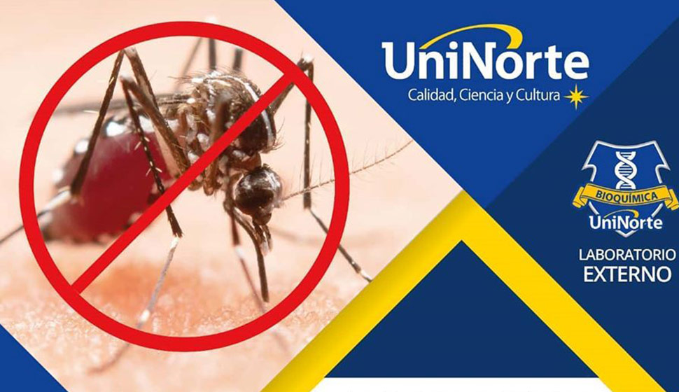 Hemograma - Test de dengue